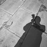 meshadow